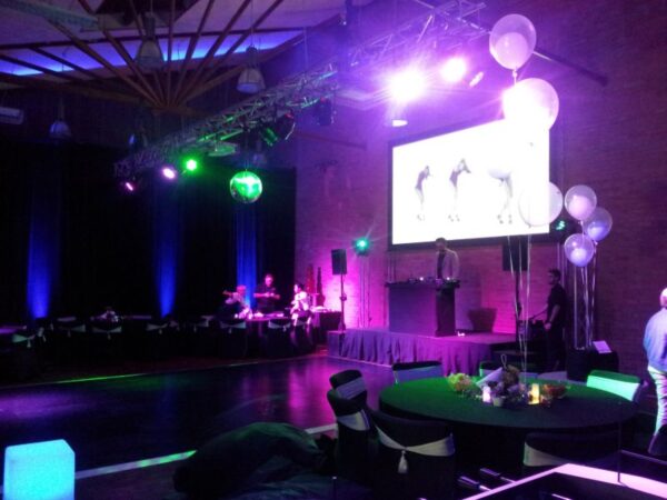 barmi celebration auckland