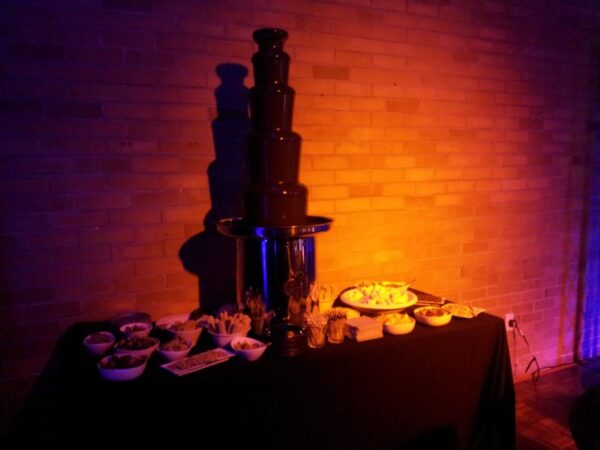 barmi celebration auckland