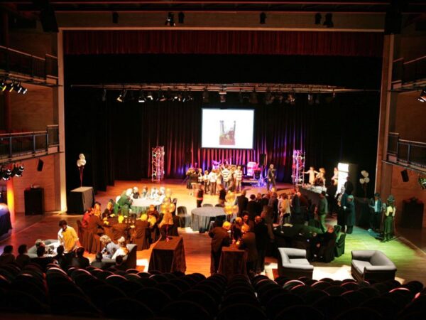 barmi celebration auckland