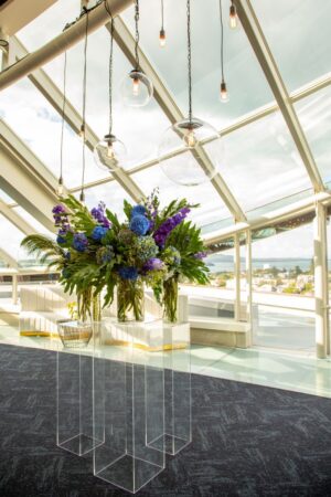 awards dinner auckland